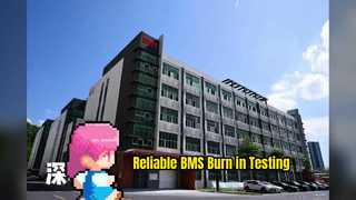 high temperature Burn-in testing system
